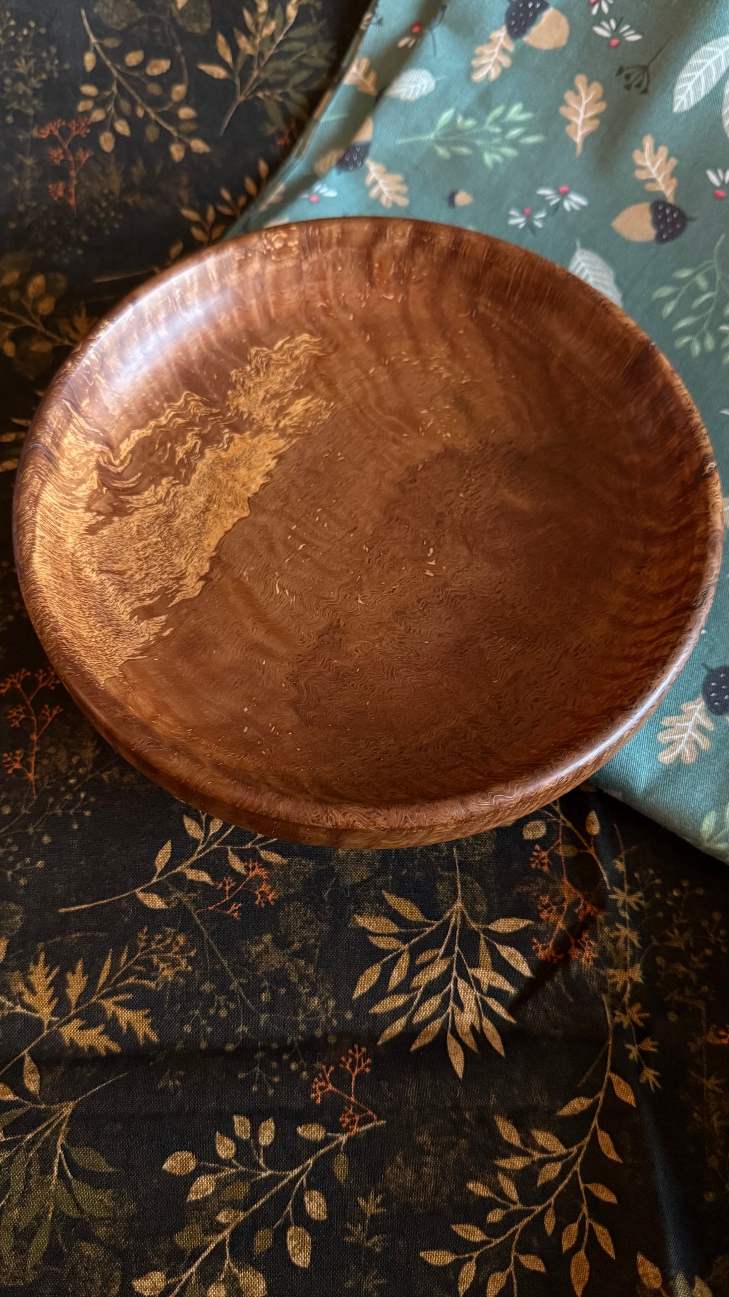Elm Every Day Carry Dish